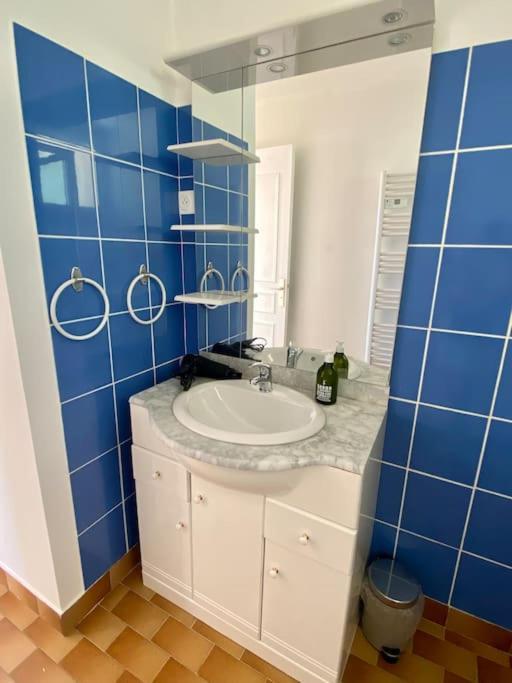 Apartment Avec Vue Sur Chateau Et Piscine Privee